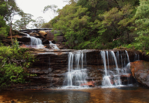 Blue Mountains Photography by Julie Green