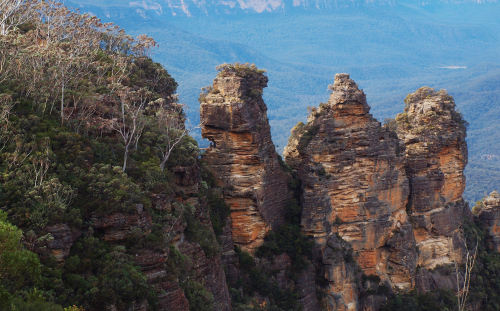 Blue Mountains Photography by Julie Green