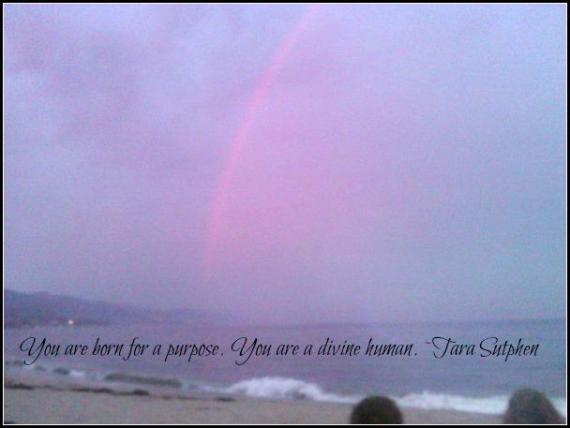 530624_4174988179260_333904719_n